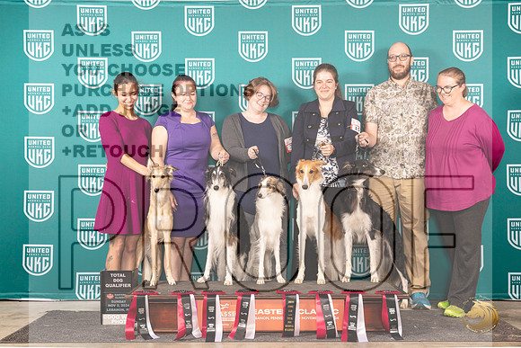 Silken Windhound Total Dogs__JP_2480_UKCEastern_2024_HR3