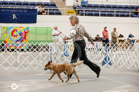 _JJ_9578-AblnMay2014-web