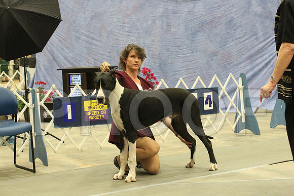 MMJ_5108