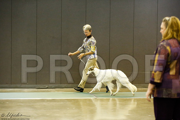 _J3L8885-BeltSep2014-HR