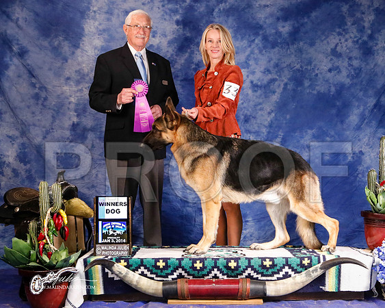 GSD-0393-GRJan14-HR