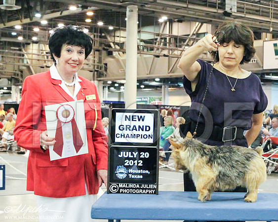 WPNGC-5737 PROOF