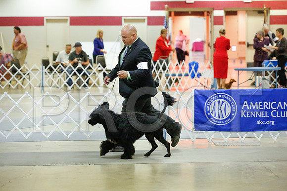 _JJ_9546-AmarilloSept2014-HR3