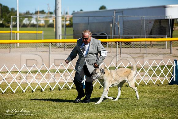 _JJ_9805-AlamogordoOct2014-HR3