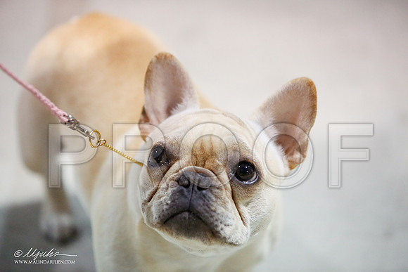 _JJ_0615-SAJul14-HR3