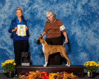 Boxers #6 Sun 4 6 BiS Olinghouse Trish Kerry Rogers Judge Ms Joanne M Buehler