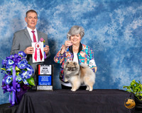 Pomeranian #16 Fri BOS Maj Judge LUIS CARLOS ESPERON