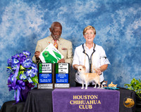 Chihuahua Long Coat #20 Fri BBE BVBB Judge Eugene Blake