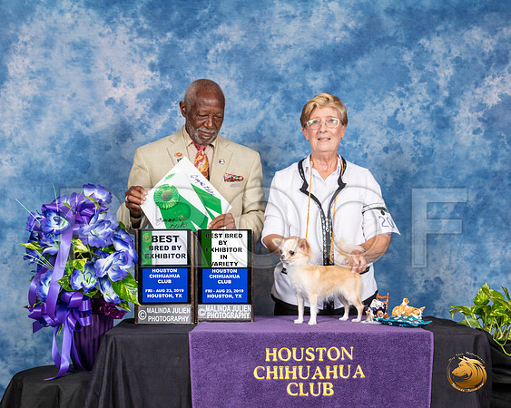 Chihuahua Long Coat #20 Fri BBE BVBB Judge Eugene Blake__SR_6722_HR3-2