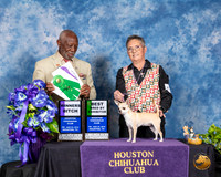 Chihuahua Smooth #6 Fri WB BBE Judge Eugene Blake