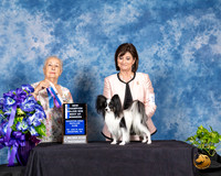 Papillon #11 Fri BOW NCh Maj Judge Erika Moureau