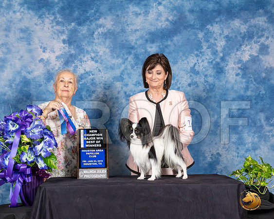 Papillon #11 Fri BOW NCh Maj Judge Erika Moureau__SR_6773_HR3