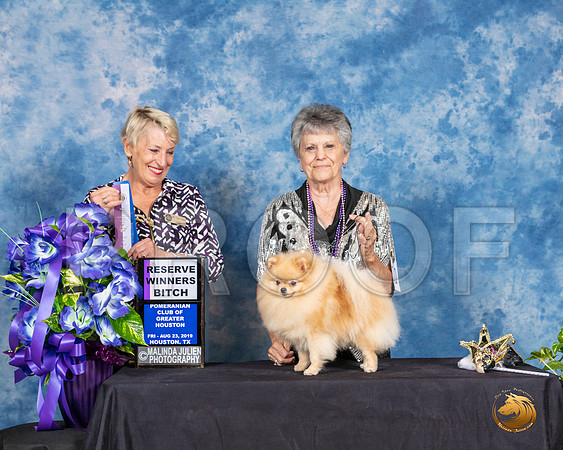 Pomeranian #10 Fri 2 RWB Judge Lew Olsen__SR_6793_HR3