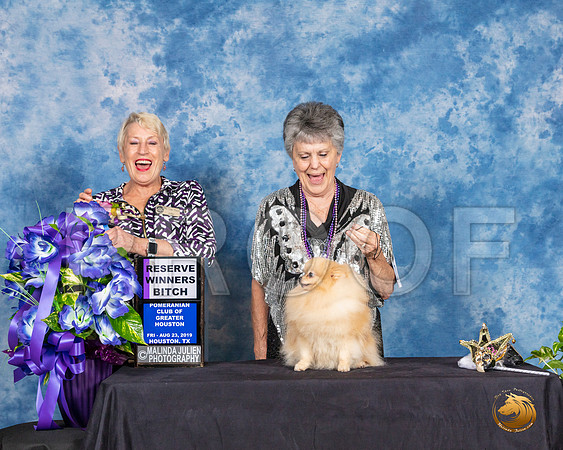 Pomeranian #10 Fri 2 RWB Judge Lew Olsen__SR_6794_HR3