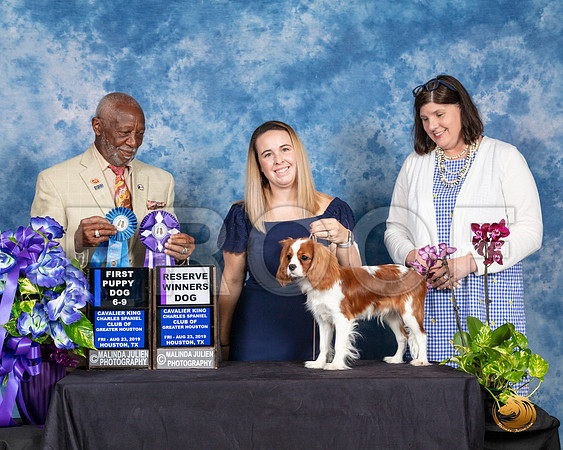 Cavalier King Charles Spaniel #19 Fri 2 691st RWD Judge Eugene Blake__SR_6810_HR3