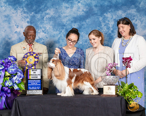 Cavalier King Charles Spaniel #23 Fri 2 BISS Judge Eugene Blake__SR_6814_HR3