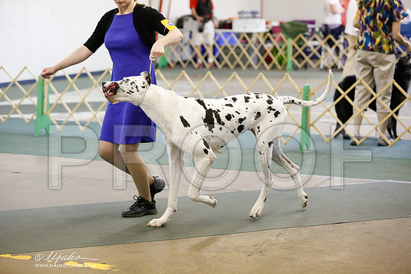 _RH_5778-DntnJun2014-HR3