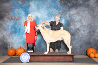 Anatolian Shepherd #7 Sun G4 Judge Jan Paulk