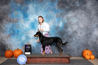 Beauceron #8 Sat WBBOS Judge Raymond Filburn