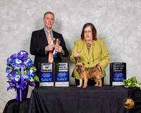 Brussels Griffon #8 Sat BOB BOH BBE Judge Luis Carlos Esperon