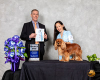 Cavalier King Charles Spaniel #7 Sat SD Judge Luis Carlos Esperon