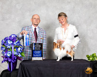 Papillon #38 Sat BOW NCh Judge Benson Ray