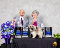 Pomeranian #16 Sat BOW BOH Judge Benson Ray