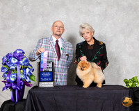 Pomeranian #9 Sat WD Maj Judge Benson Ray