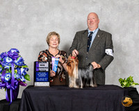 Yorkshire Terrier #28 WB Maj Judge Sharon Masik