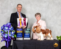 Cavalier King Charles Spaniel #11 Sat OHBOB BOB Judge Luis Carlos Esperon