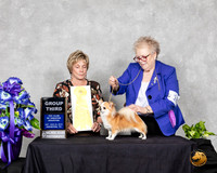 Chihuahua #16 Sat G3 Judge Sharon Masnick