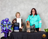 Yorkshire Terrier #20 Sat G4 Judge Sharon Masnick