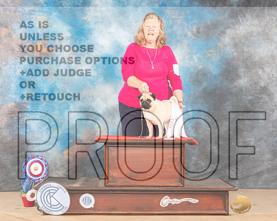 Pug #12 Sun G4 Judge Mary Jane Carberry_MMJ_4312-CCKC2021-HR3