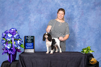 English Toy #12 Sun NCh WB Maj Judge Sharon Masnick