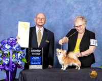 Chihuahua #16 Sun G3 Judge Benson Ray