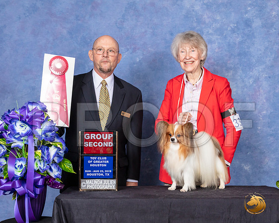 Papillon #33 Sun G2 Judge Benson Ray__SR_7161_HR3