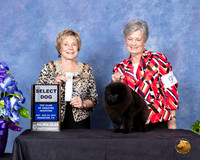 Pomeranian #9 Sun SD  Judge Sharon Masnick