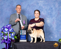 Pug #7 Sun SD Judge Luis Carlos Esperon