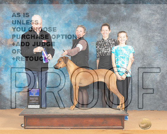 Rhodesian Ridgeback #18 Sun WBBOW Judge Steve Keating_JP_1963e-GlenRose2024_HR3