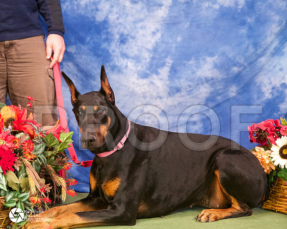 dobe-4344-BltnApr14-HR