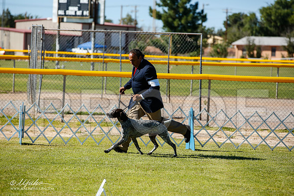 _JN_7375-AlamogordoOct2014-HR3