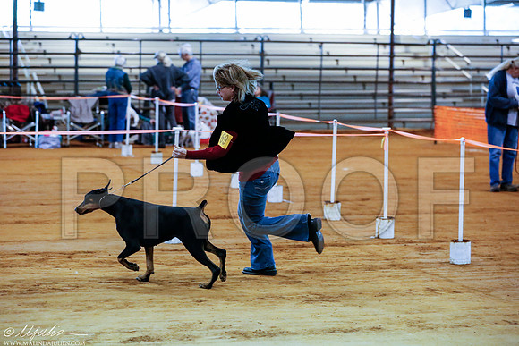 _RH_2689-MarshDec2014-HR