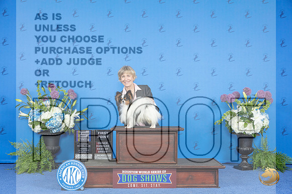 Papillon #15 THUR WD BOW BOB OHBOB M Judge Sandra Lex__JP_8129_Houston_2024_HR3