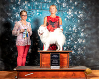 American Eskimo Fri NCh Judge Felicity Trammell