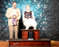 American Eskimo Sat S2 RBIMBS Judge Roland Pelland