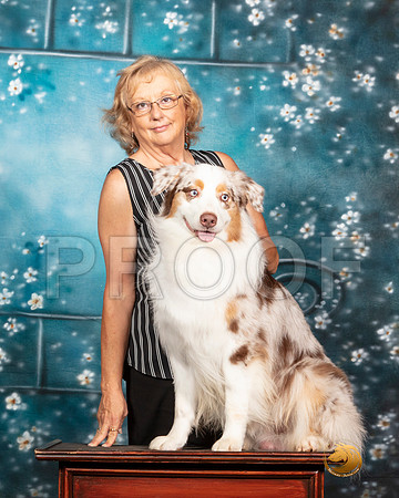 Australian Shepherd Sat 1 Kathi Linn__SR_7314-MrshlUKC2019-HR3
