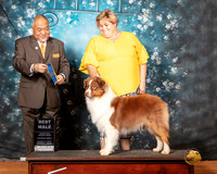 Australian Shepherd Sat S1 BM Judge Stan Matsumoto