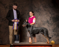 Beauceron Sun S2 BIMBS Judge Kevin Izard