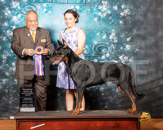 Beaucheron Sat S1 RBIMS Judge Stan Matsumoto__SR_7339-MrshlUKC2019-HR3