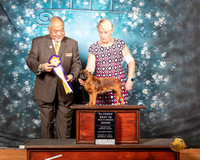 Brussels Griffon Sat 1 ABIMBS Judge Stan Matsumoto